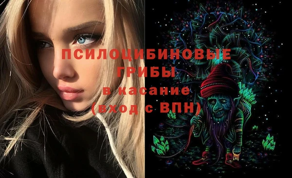 mdpv Верея