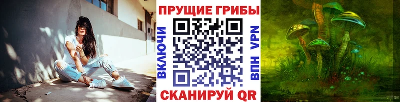 Псилоцибиновые грибы ЛСД  hydra как зайти  маркетплейс Telegram  Валуйки 